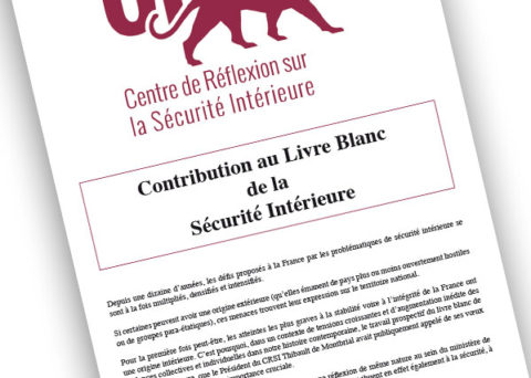 livre blanc sécurité intérieure