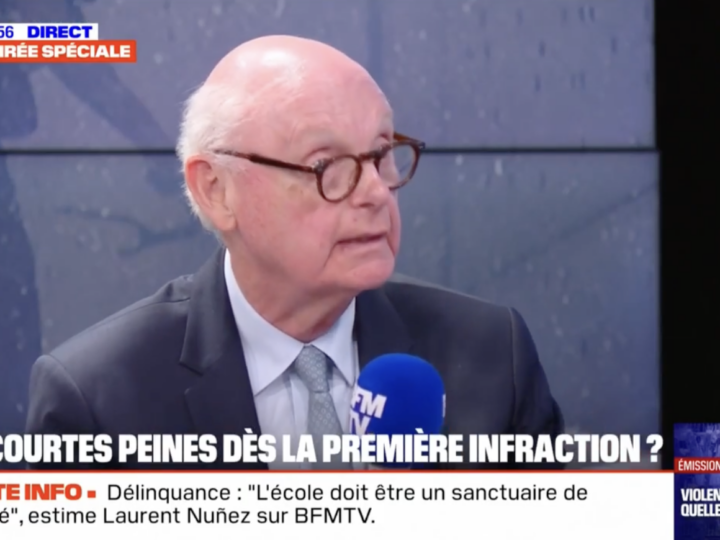 « Il y a beaucoup d’armes, ustensiles qui peuvent devenir des armes par destination et dont la vente n’est pas interdite aux mineurs », Patrick Stefanini était sur BFMTV