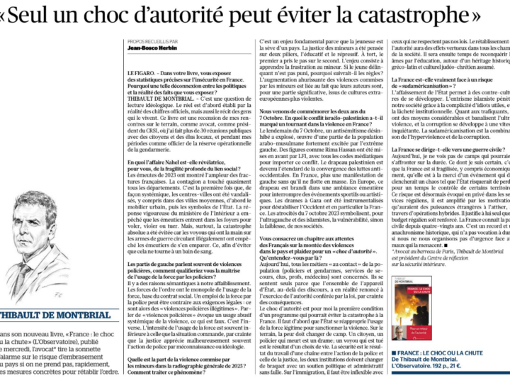 « Seul un choc d’autorité peut éviter la catastrophe »