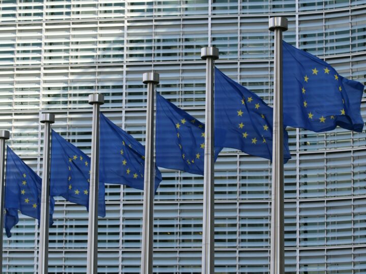 Conseil de l’Europe : quelle influence dans les affaires intérieures des Etats-  membres, et pour quel rôle effectif ?
